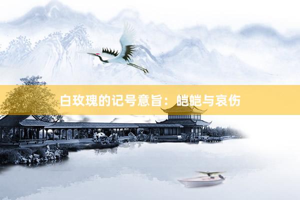 白玫瑰的记号意旨：皑皑与哀伤