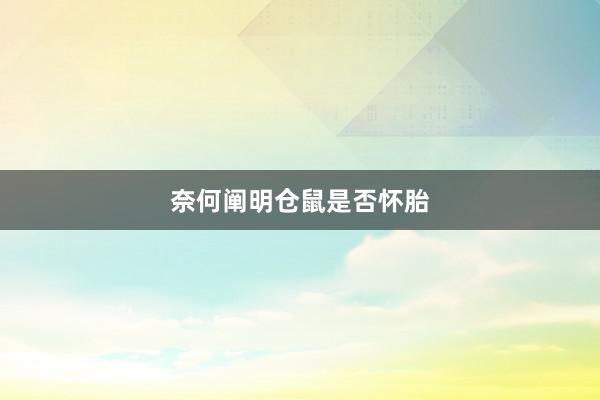 奈何阐明仓鼠是否怀胎